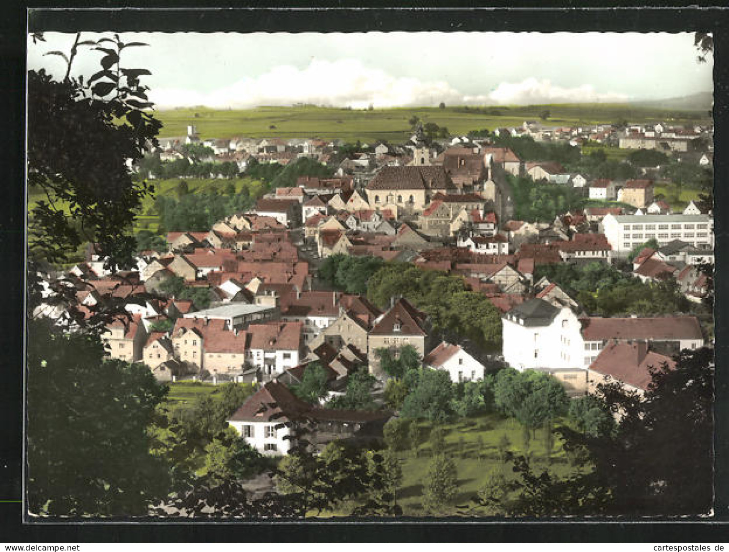 AK Neustadt /Waldnaab, Blick Vom Waldrand Auf Die Stadt  - Neustadt Waldnaab