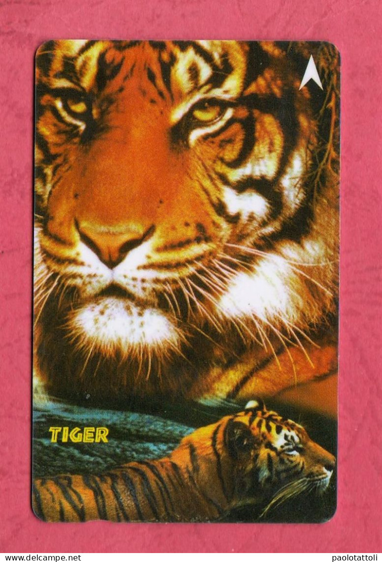 Singapore- Tiger- Singapore Telecom. Used Phone Card By 5 Dollars. - Singapour