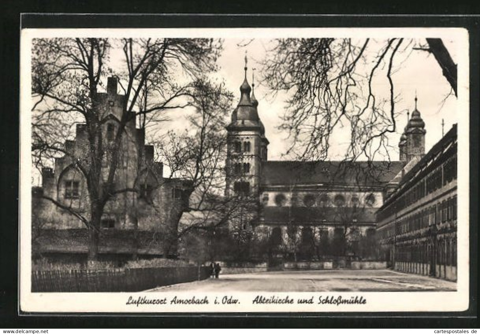 AK Amorbach /Odw., Abteikirche Und Schlossmühle  - Amorbach