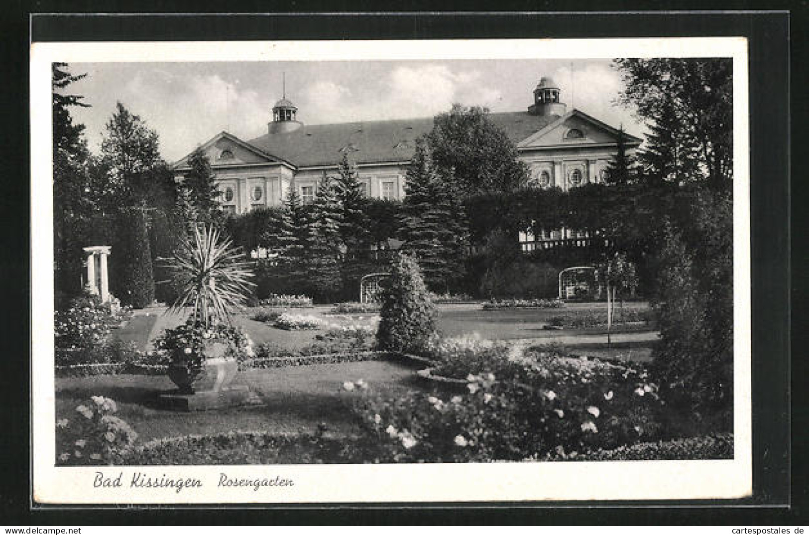 AK Bad Kissingen, Rosengarten Hinterm Schloss  - Bad Kissingen