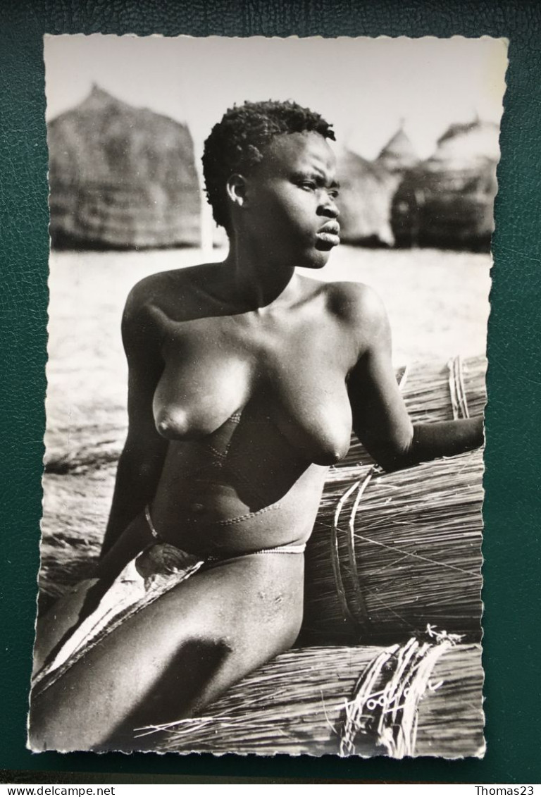 Beauté Africaine, Lib Cerbelot, N° 279 - Sénégal