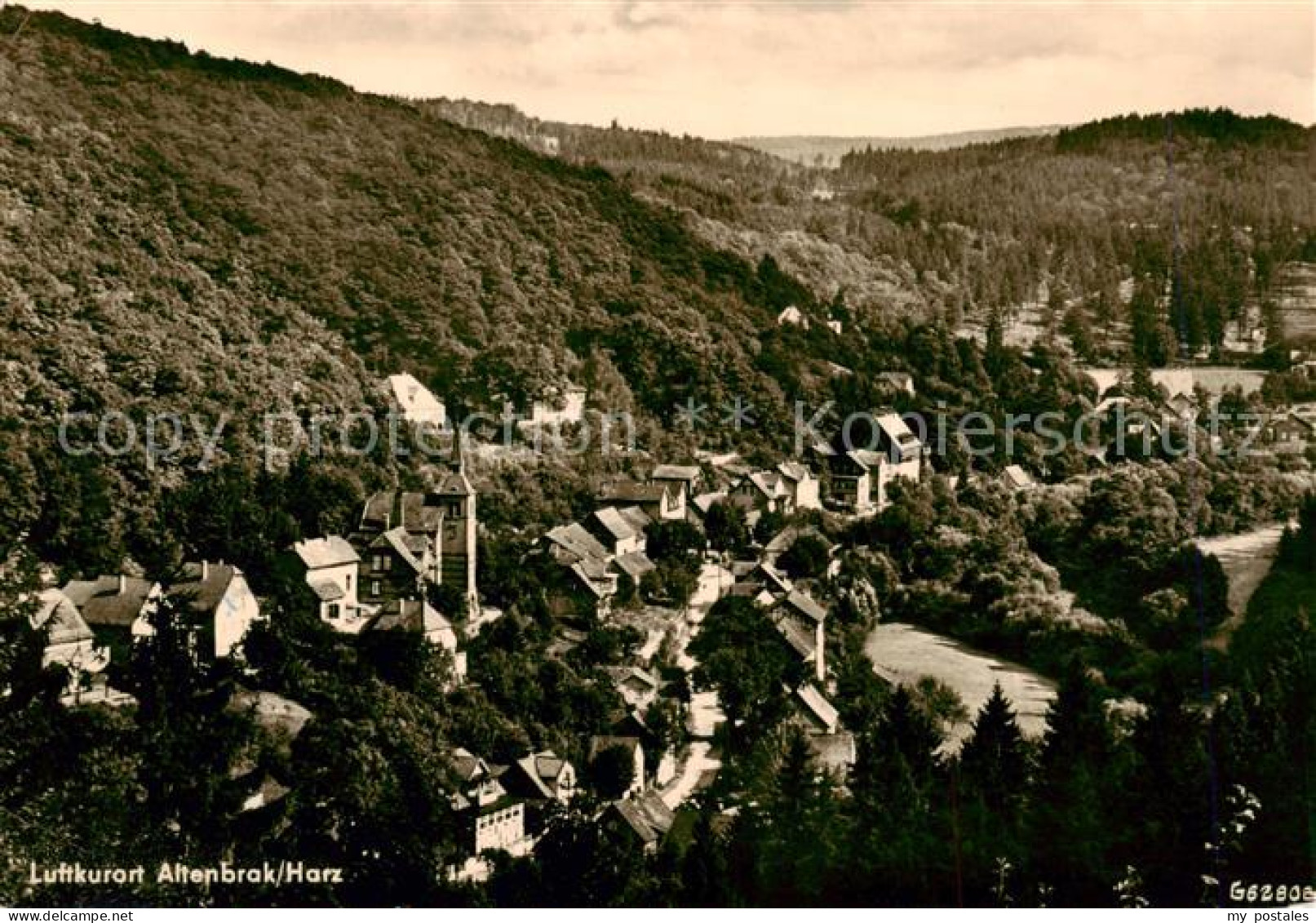 73867305 Altenbrak Harz Panorama Altenbrak Harz - Altenbrak