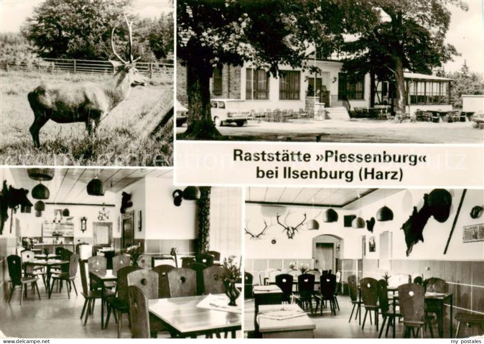 73867196 Ilsenburg Harz Raststaette Plessenburg Restaurant Hirsch Ilsenburg Harz - Ilsenburg