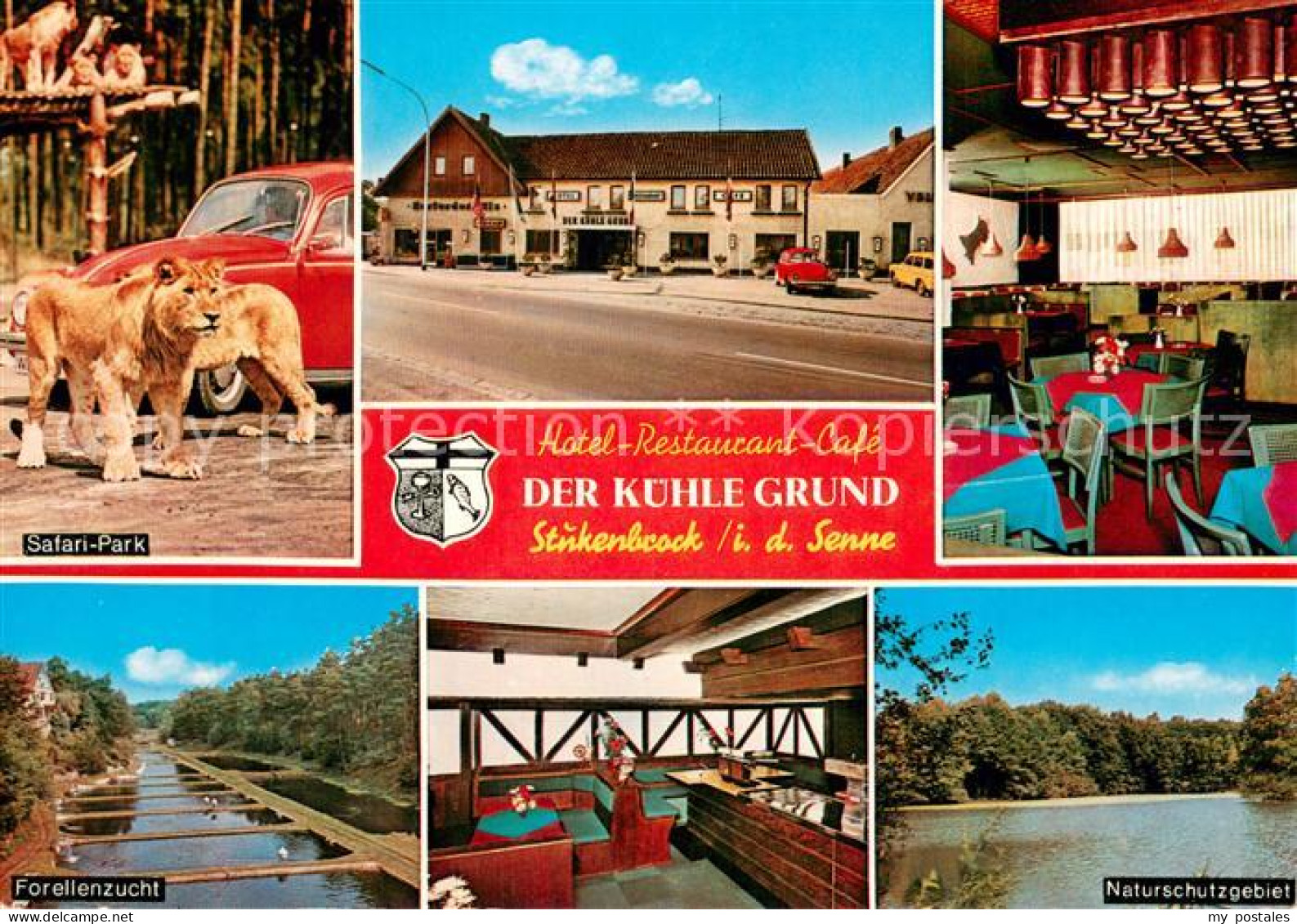 73759047 Stukenbrock Safari Park Hotel Restaurant Cafe Der Kuehle Grund Gastraeu - Autres & Non Classés