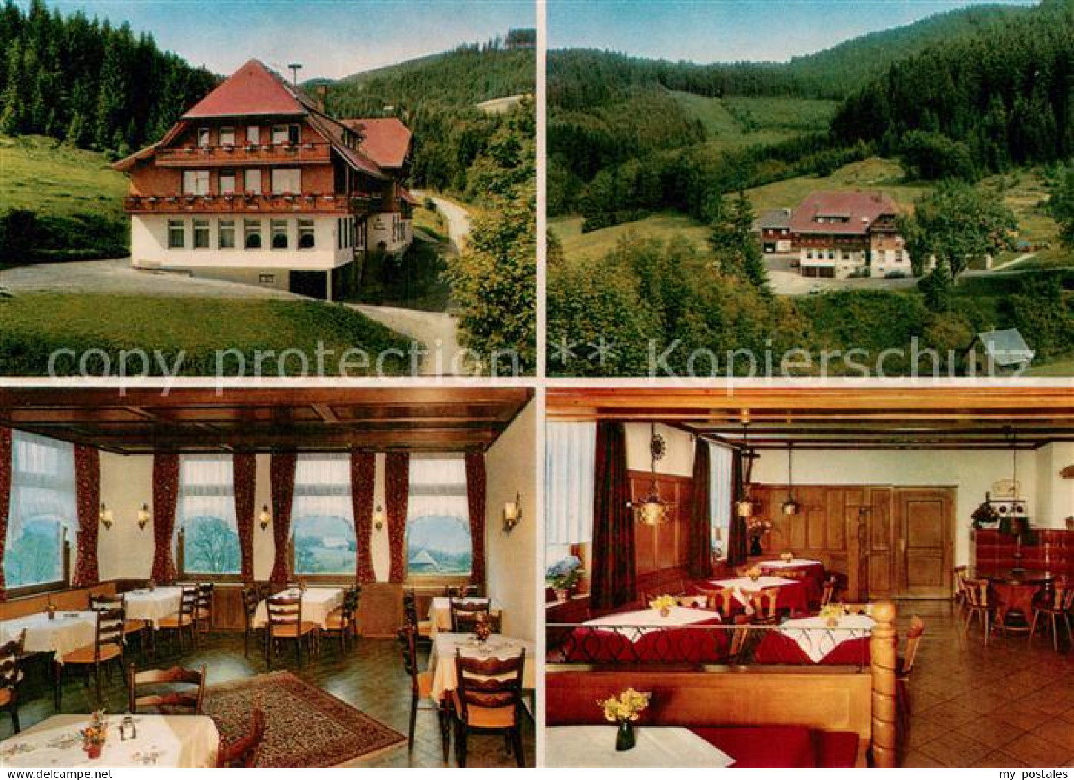 73759038 Hinterzarten Gasthaus Pension Zur Esche Gastraeume Panorama Hinterzarte - Hinterzarten