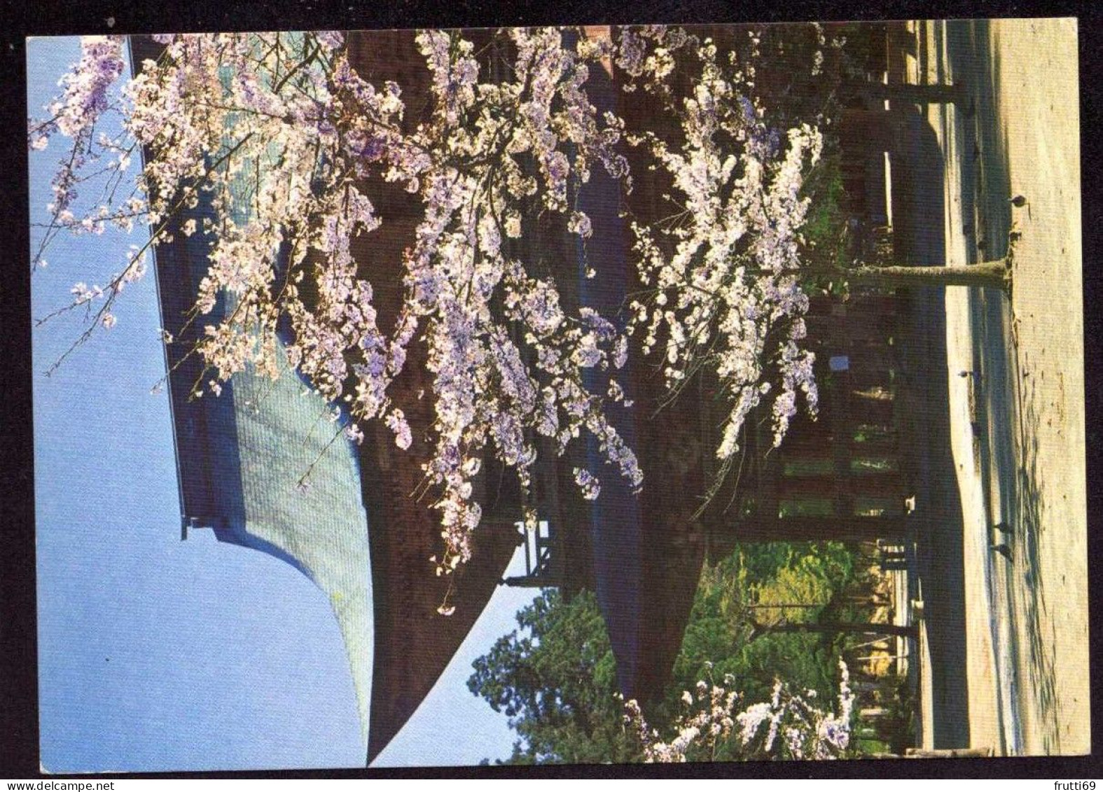 AK 212414 JAPAN - The Kenkoji Temple And Cherry Tree - Other & Unclassified