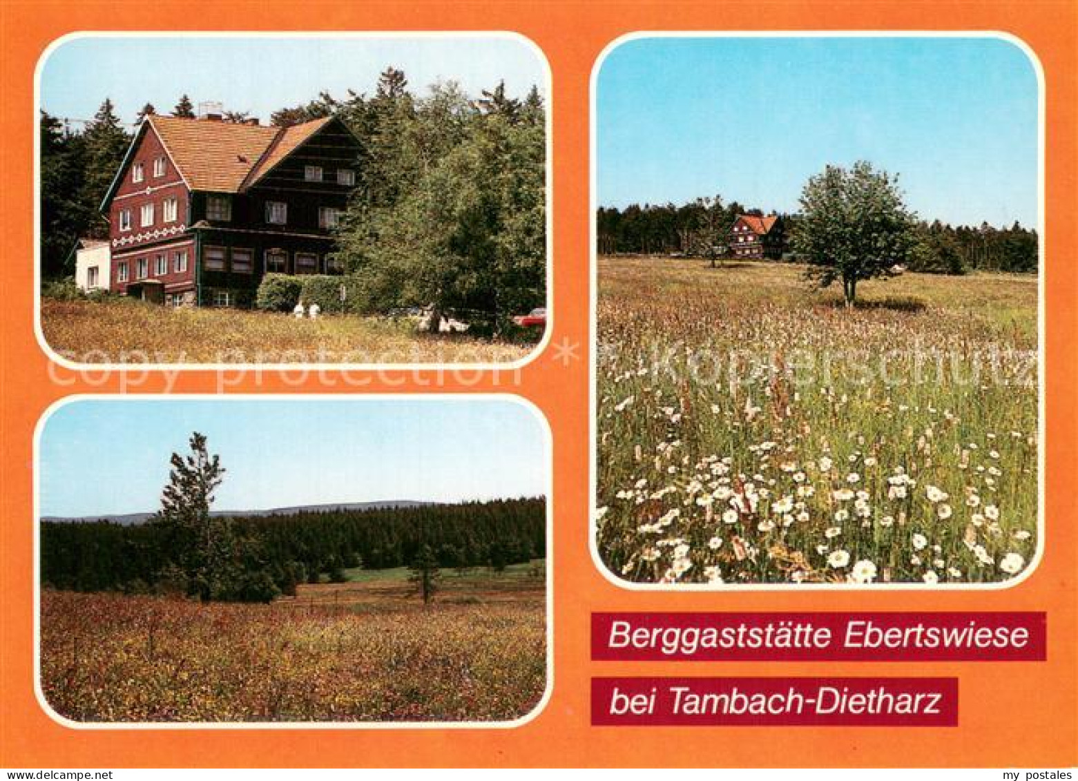 73758986 Tambach-Dietharz Berggaststaette Ebertswiese Panorama Tambach-Dietharz - Tambach-Dietharz