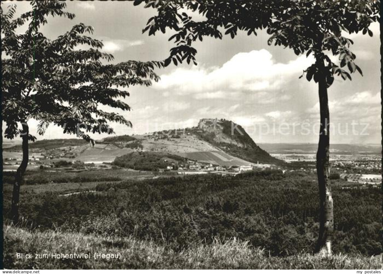 72493559 Singen Hohentwiel Panorama Blick Zum Hohentwiel Singen - Singen A. Hohentwiel