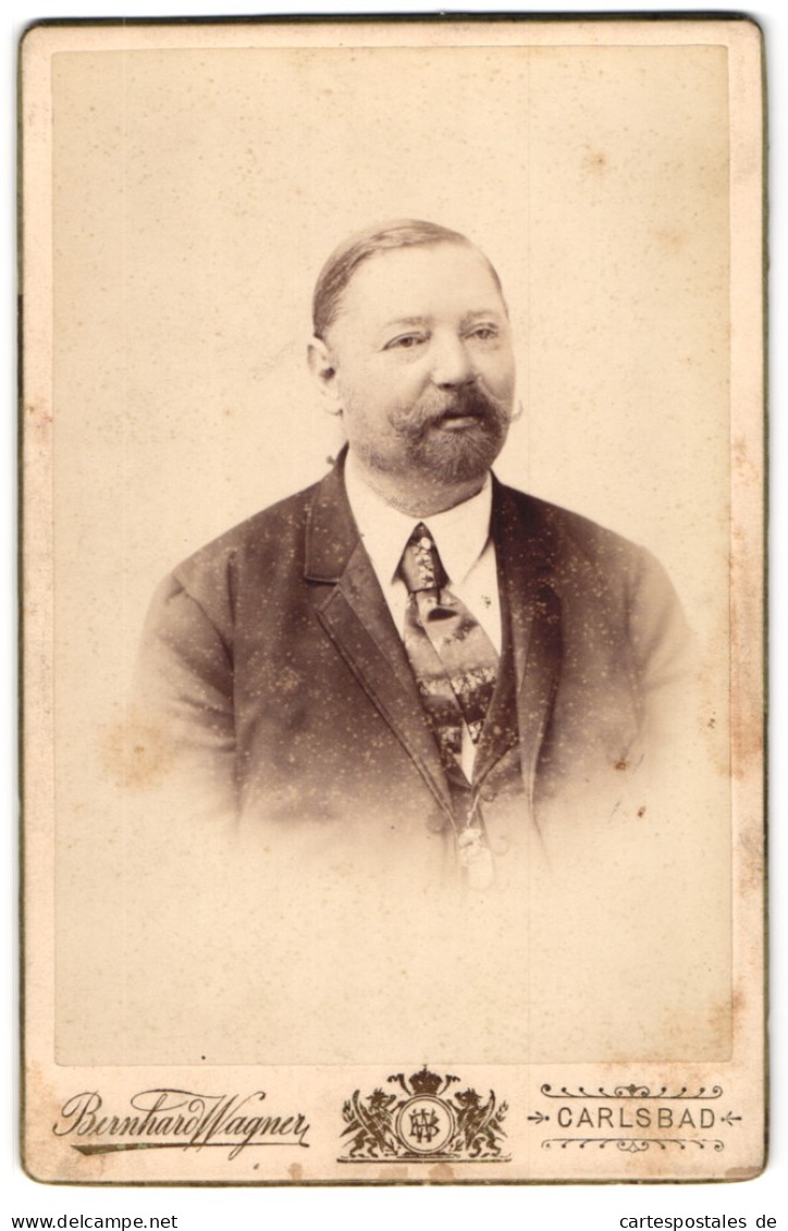 Fotografie Bernhard Wagner, Carlsbad, Bürgerlicher Herr Mit Vollbart  - Anonymous Persons