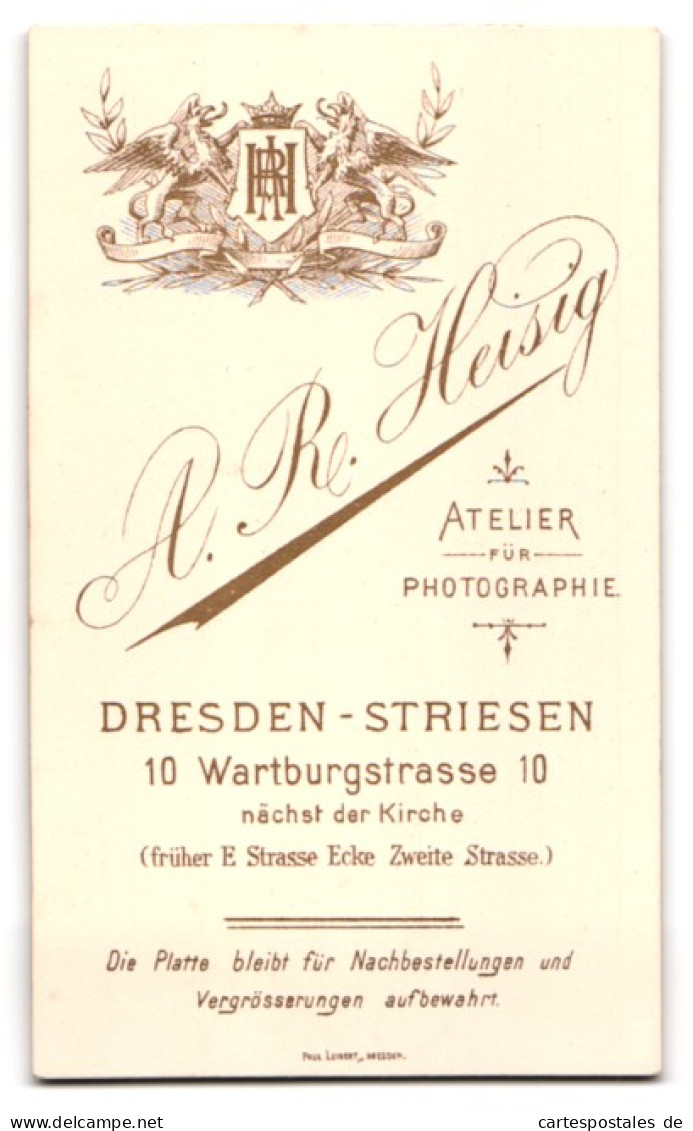 Fotografie A. R. Heisig, Dresden-Striesen, Wartburgstr. 10, Junge Dame Mit Zurückgebundenem Haar  - Anonyme Personen