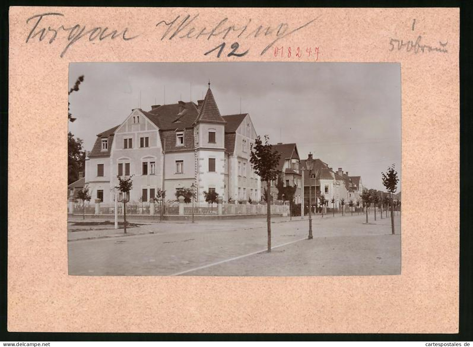 Fotografie Brück & Sohn Meissen, Ansicht Torgau / Elbe, Westring Strasseneck Mit Wohnhaus  - Lugares