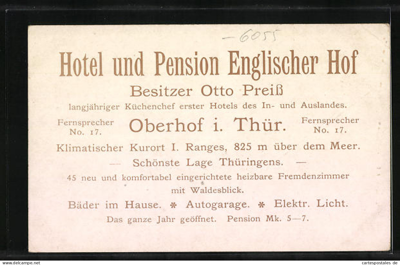 Künstler-AK Oberhof I. Th., Hotel Englischer Hof Aus Der Vogelschau  - Oberhof
