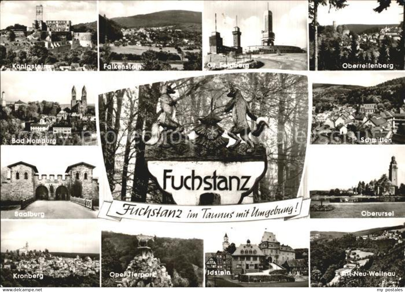 72491518 Fuchstanz Taunus Uberusel Schmiten Oberreiffenberg Feldberg Falkenstein - Other & Unclassified
