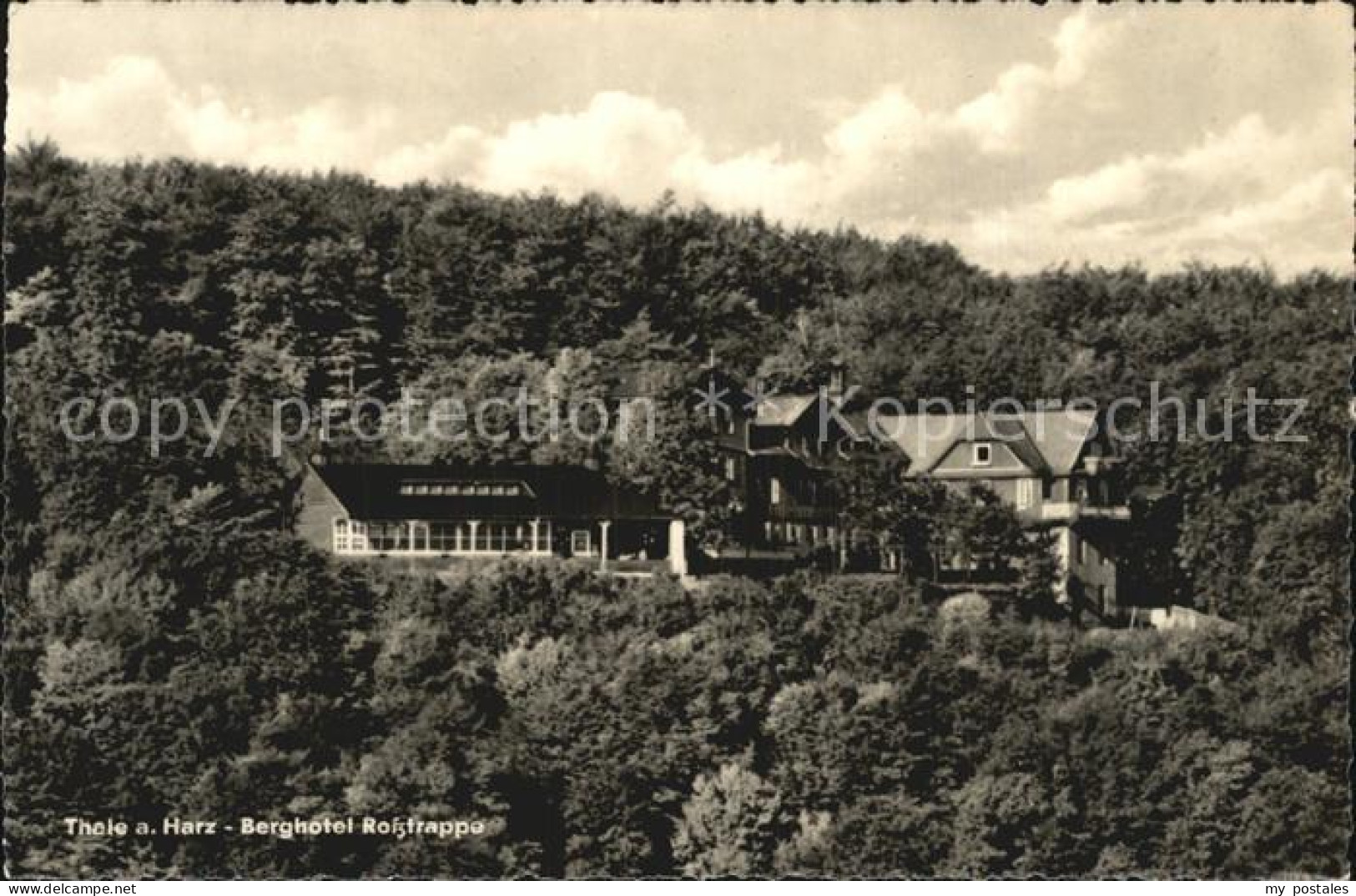 72490881 Thale Harz Berghotel Rosstrappe Thale - Thale