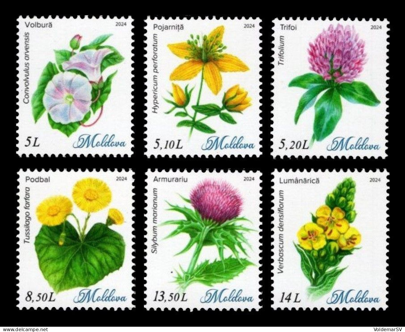 Moldova 2024 Mih. 1287/92 Flora. Wild Flowers MNH ** - Moldavie