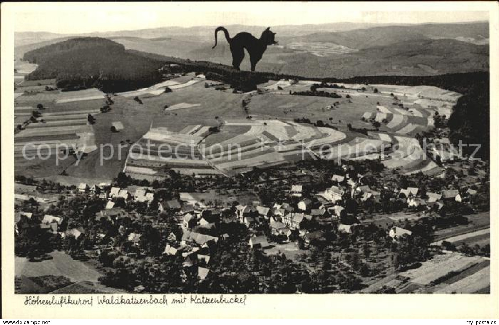 72490842 Waldkatzenbach Mit Katzenbuckel Schwarzer Kater Fliegeraufnahme Waldkat - Andere & Zonder Classificatie