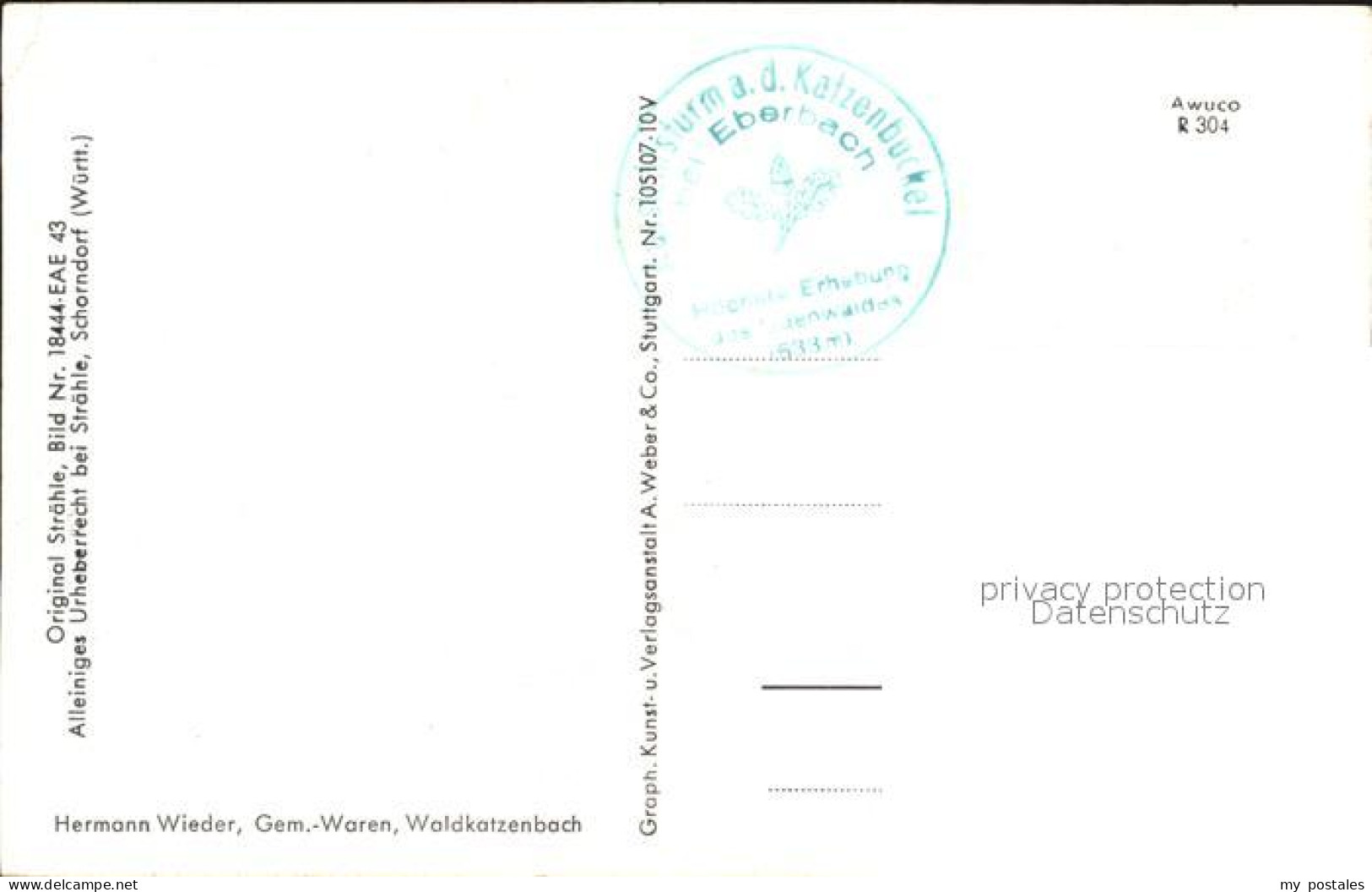 72490842 Waldkatzenbach Mit Katzenbuckel Schwarzer Kater Fliegeraufnahme Waldkat - Andere & Zonder Classificatie