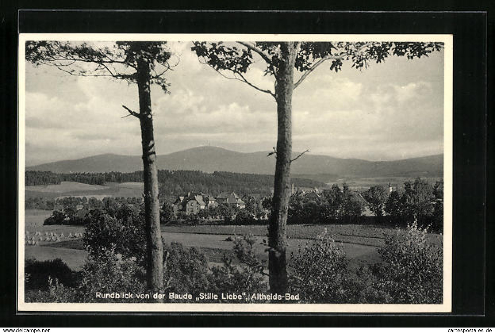 AK Altheide, Rundblick Von Der Baude Stille Liebe  - Schlesien