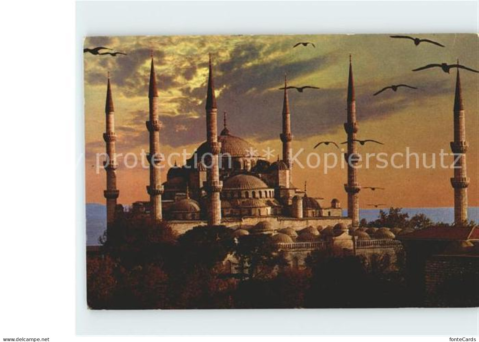 71850838 Istanbul Constantinopel Sultan Ahmet Camii Blue Mosque Blaue Moschee Is - Turquie