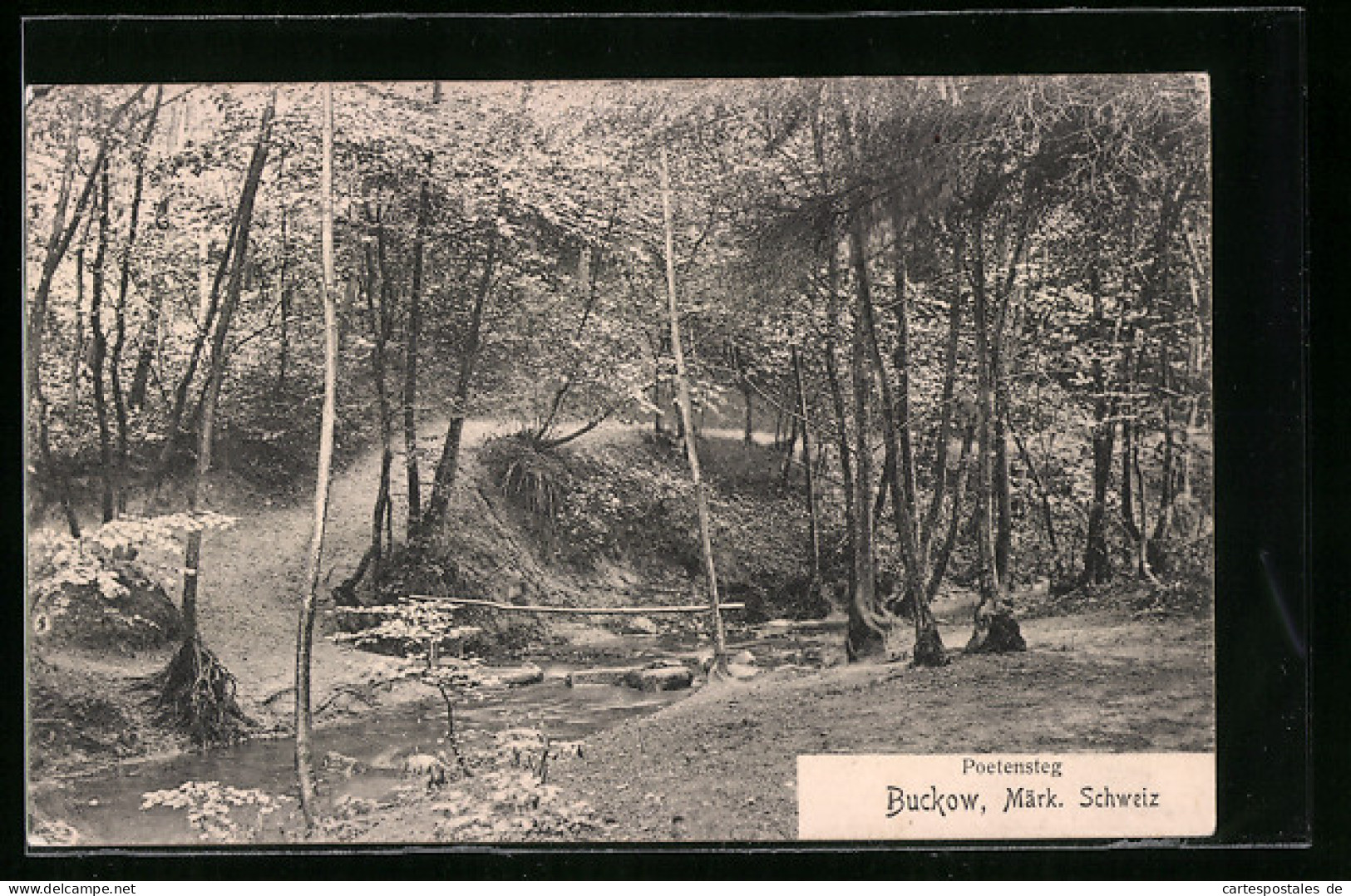 AK Buckow / Märk. Schweiz, Poetensteg  - Buckow