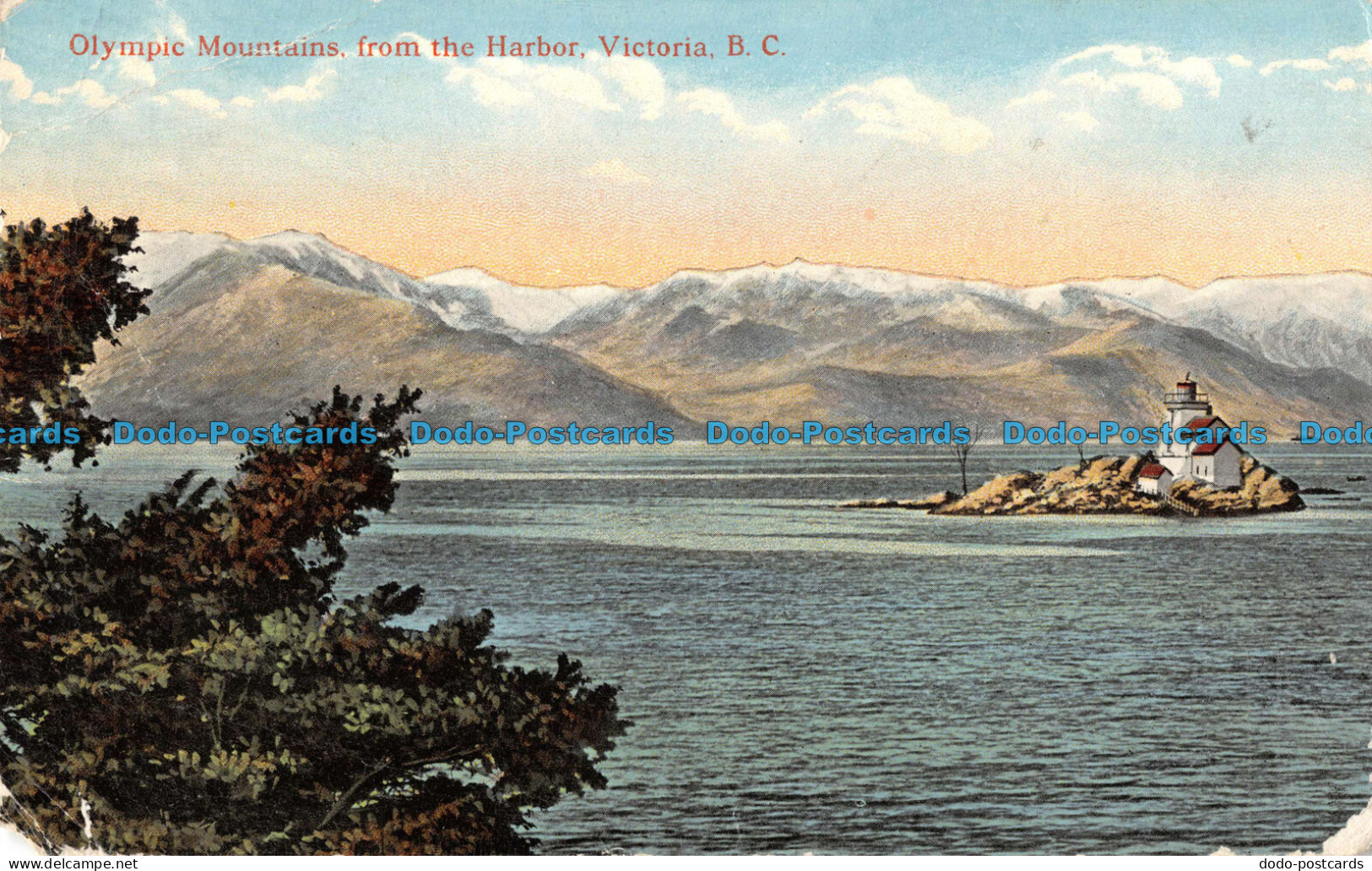 R101912 Olympic Mountains From The Harbor. Victoria. B. C. Coast Publishing - Mondo