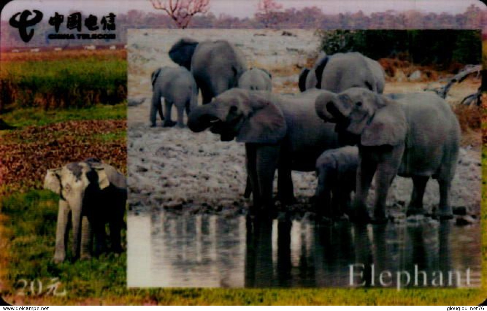 TELECARTE ETRANGERE....ELEPHANTS - Autres & Non Classés