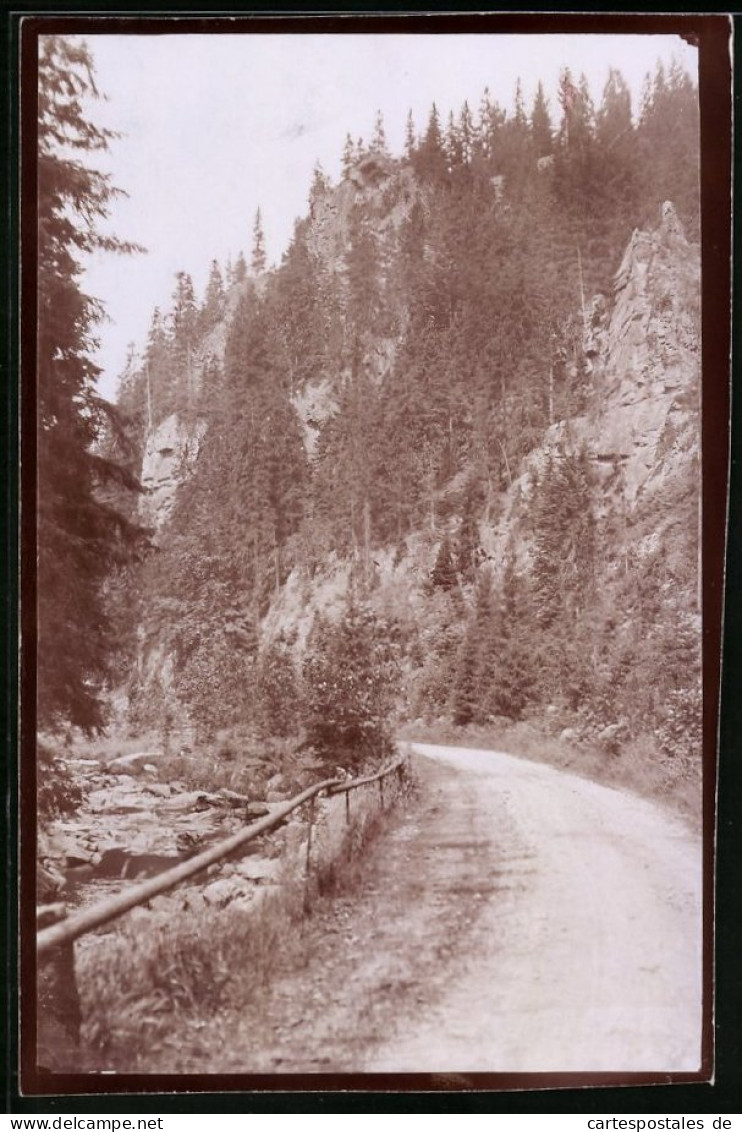 Fotografie Brück & Sohn Meissen, Ansicht Reitzenhain / Erzg., Strassenpartie Am Katzenstein  - Lugares