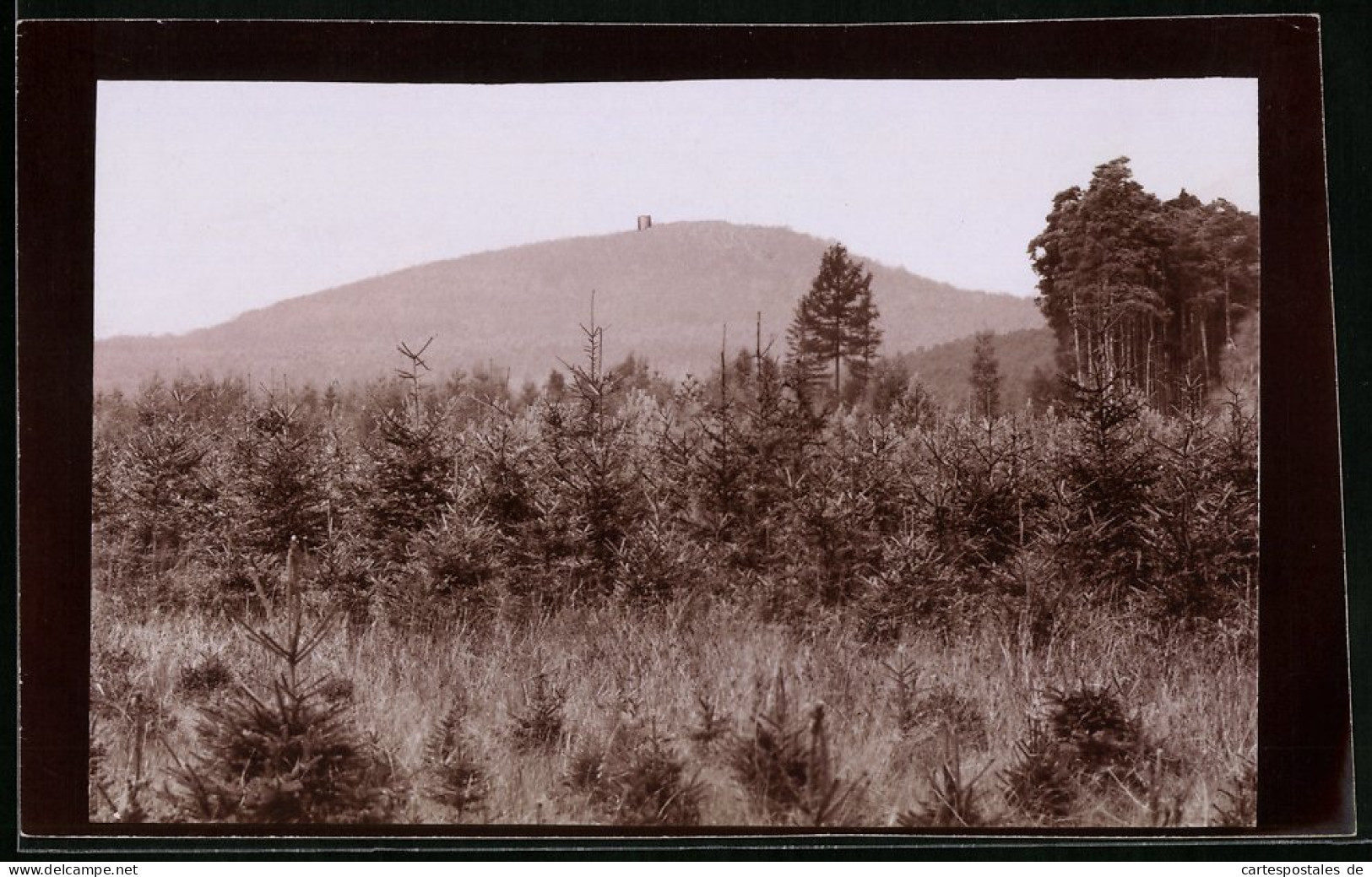 Fotografie Brück & Sohn Meissen, Ansicht Collm, Blick Nach Dem Collmberg, Spiegleverkehrt  - Places