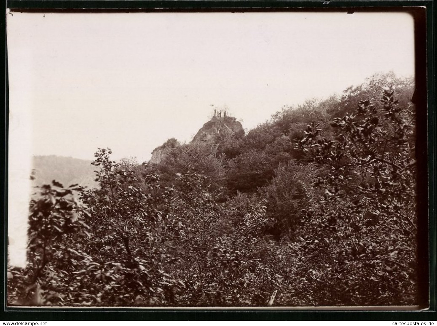 Fotografie Brück & Sohn Meissen, Ansicht Thale, Blick Auf Die Bülowshöhe Im Bodethal  - Lieux