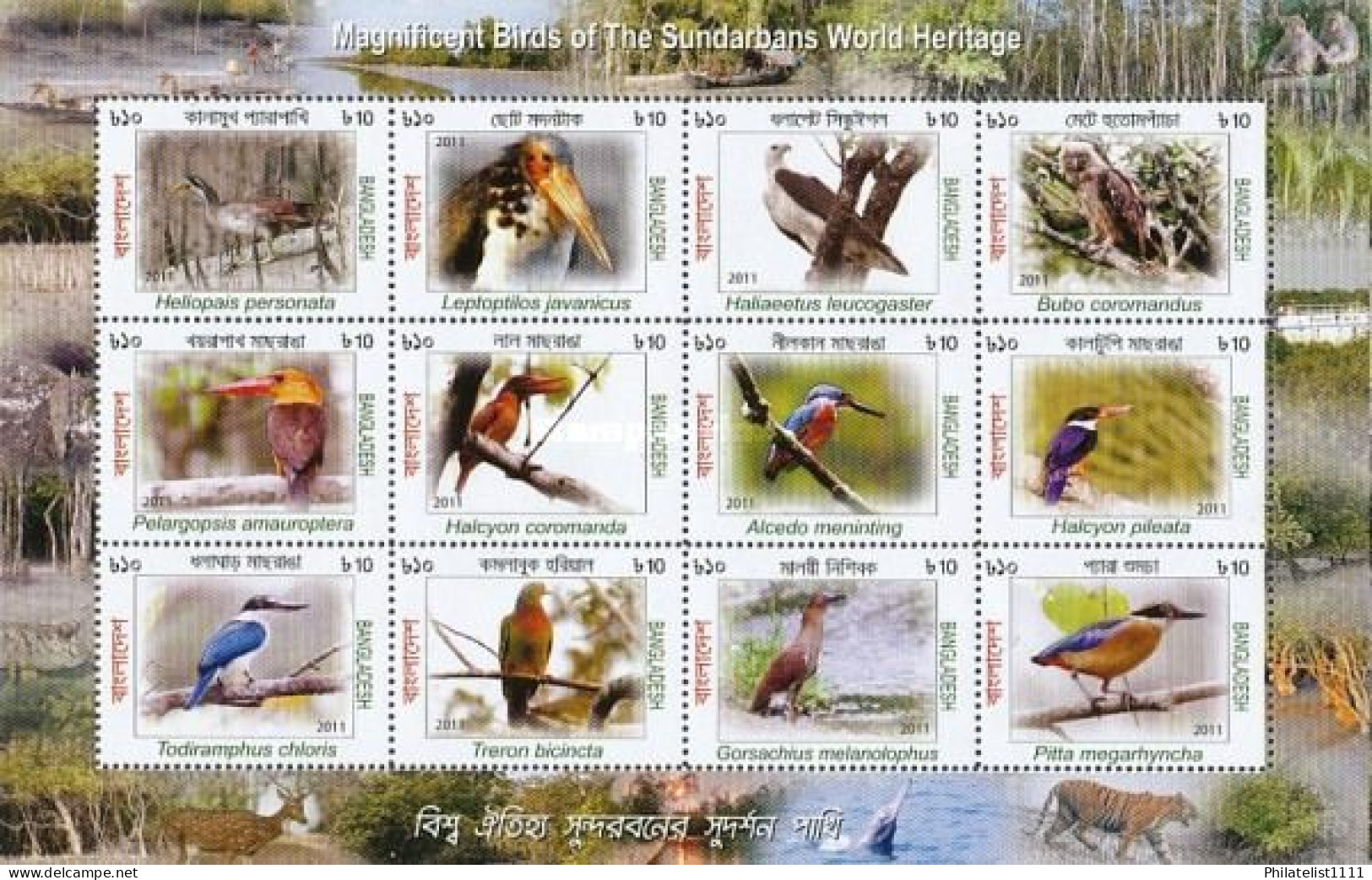 Bangladesh Sunderbun Forest Birds - Bangladesh
