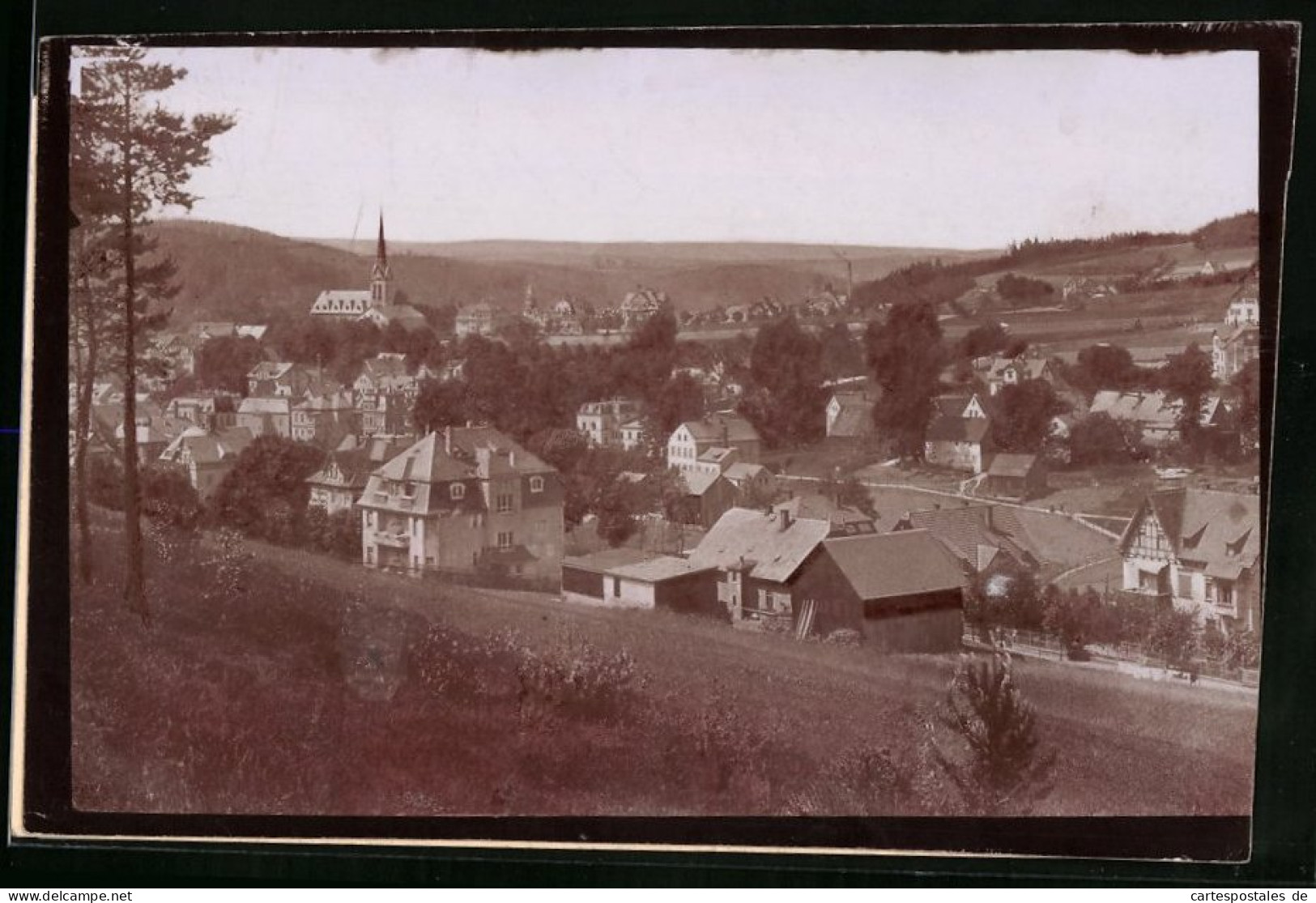 Fotografie Brück & Sohn Meissen, Ansicht Bad Elster, Blick In Den Ort Mit Wohnhäusern  - Orte