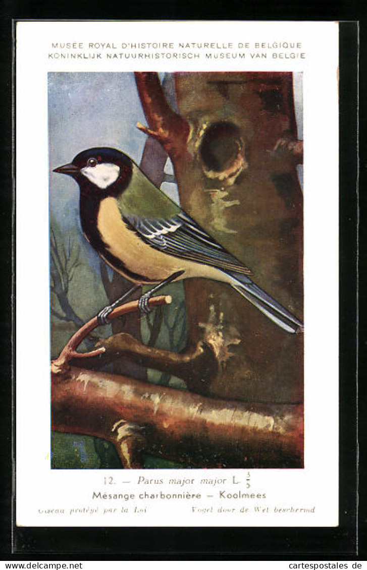 Künstler-AK Hubert Dupond: Mésange Charbonnière, Koolmees, Vogel, Parus Major Major  - Oiseaux