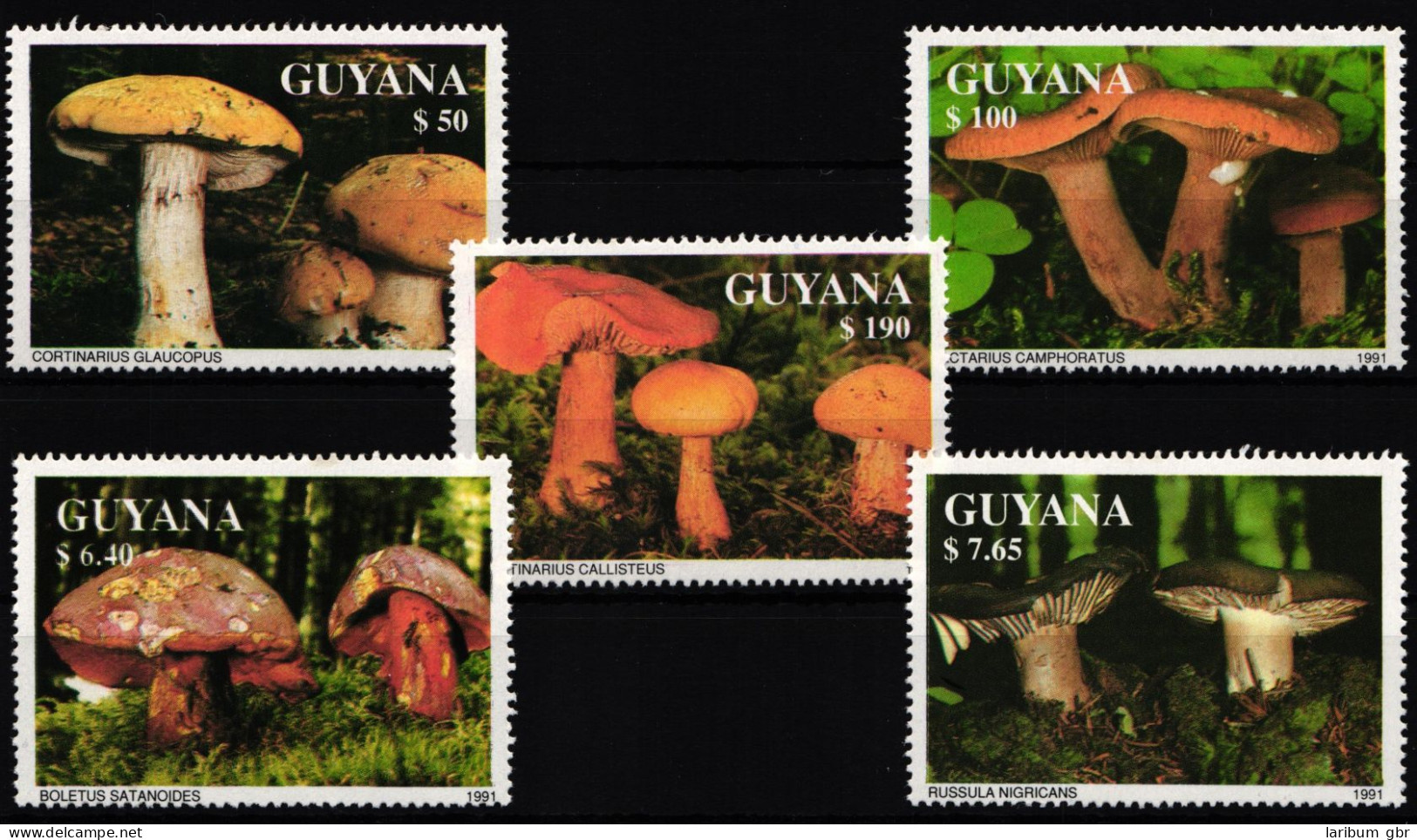 Guyana 3680-3684 Postfrisch Pilze #HQ414 - Guyana (1966-...)