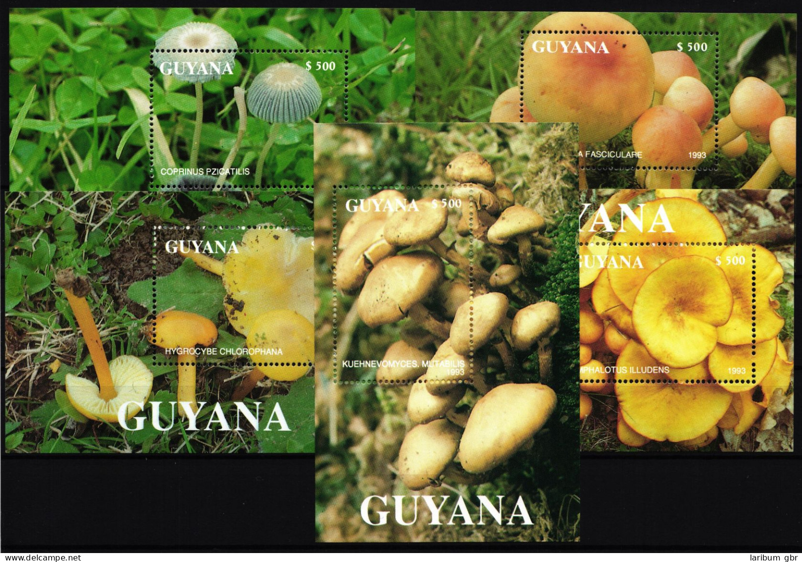 Guyana Block 269-273 Postfrisch Pilze #HQ416 - Guyane (1966-...)