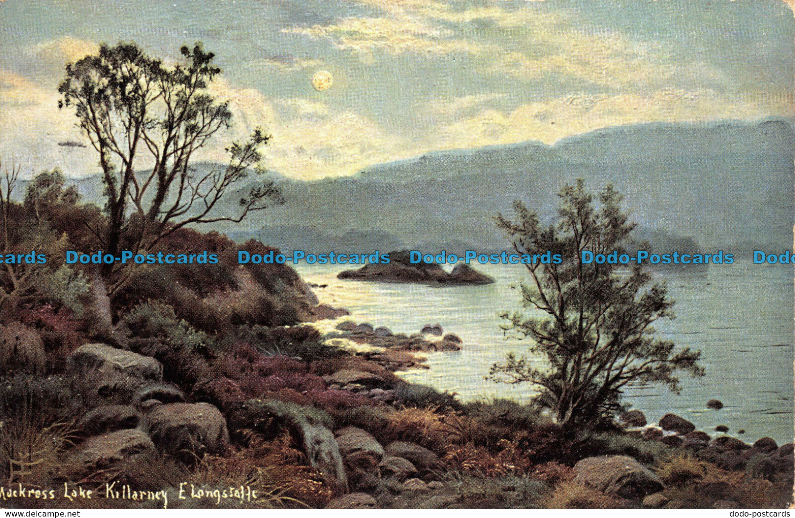 R102248 Mockress Lake Killarney. E. Longstaffe. S. Hildesheimer. No. 5231. 1905 - Monde