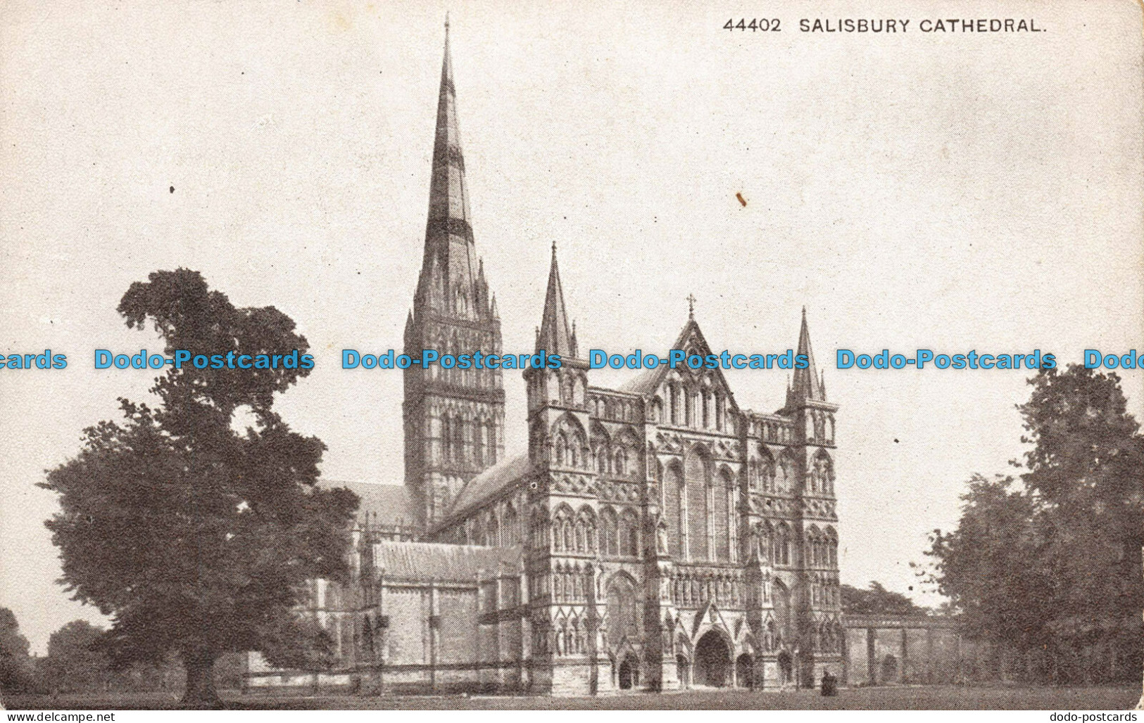 R102255 44402. Salisbury Cathedral. Sepiatone Series. Photochrom - Monde