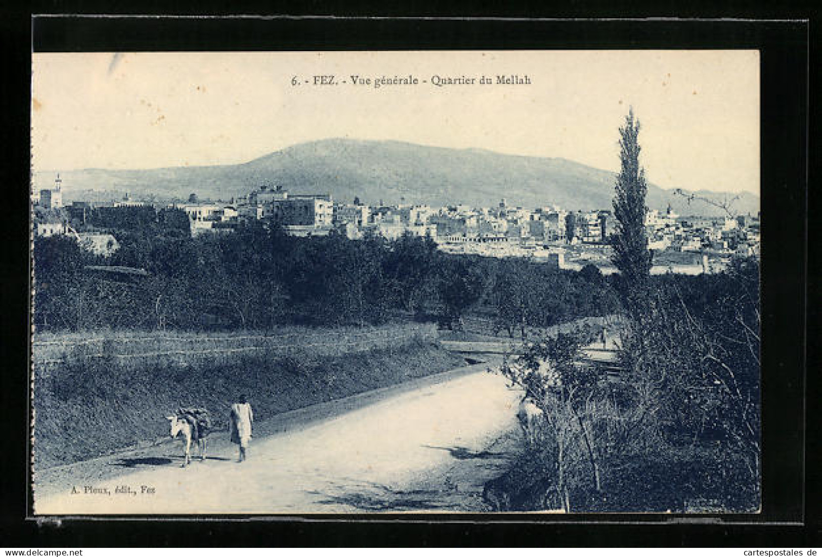 CPA Fez, Vue Générale, Quartier Du Mellah  - Fez (Fès)