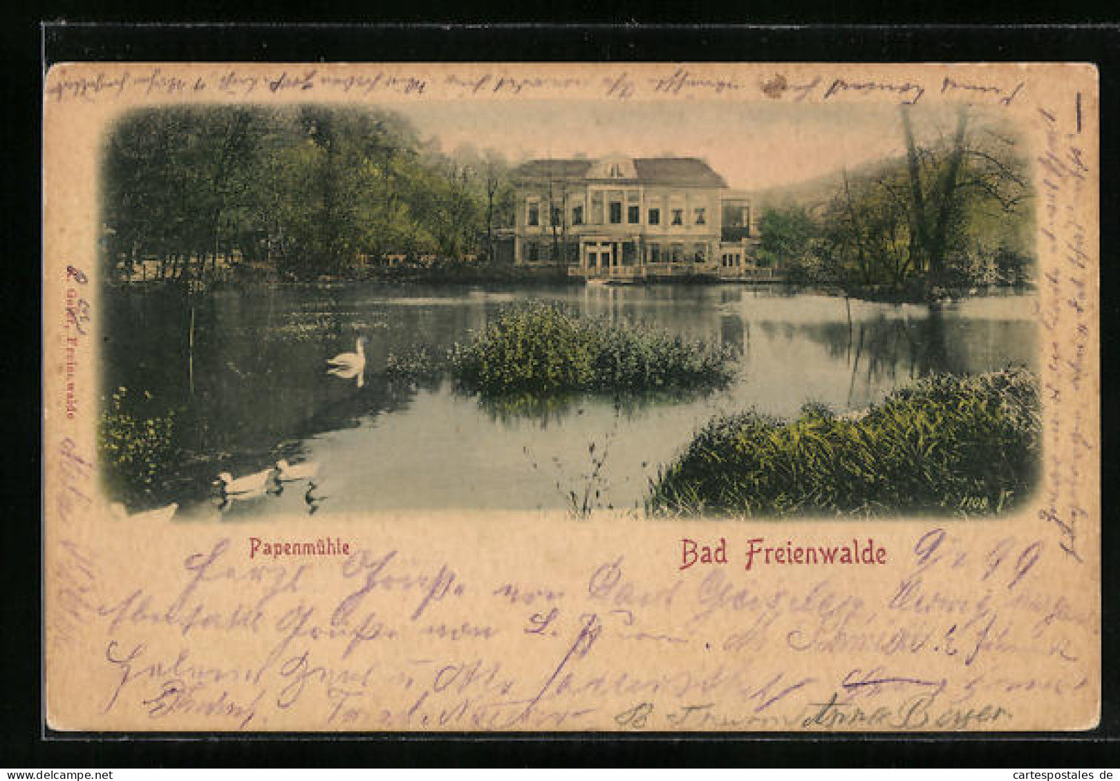 AK Bad Freienwalde A. O., Papenmühle Mit Teich  - Bad Freienwalde