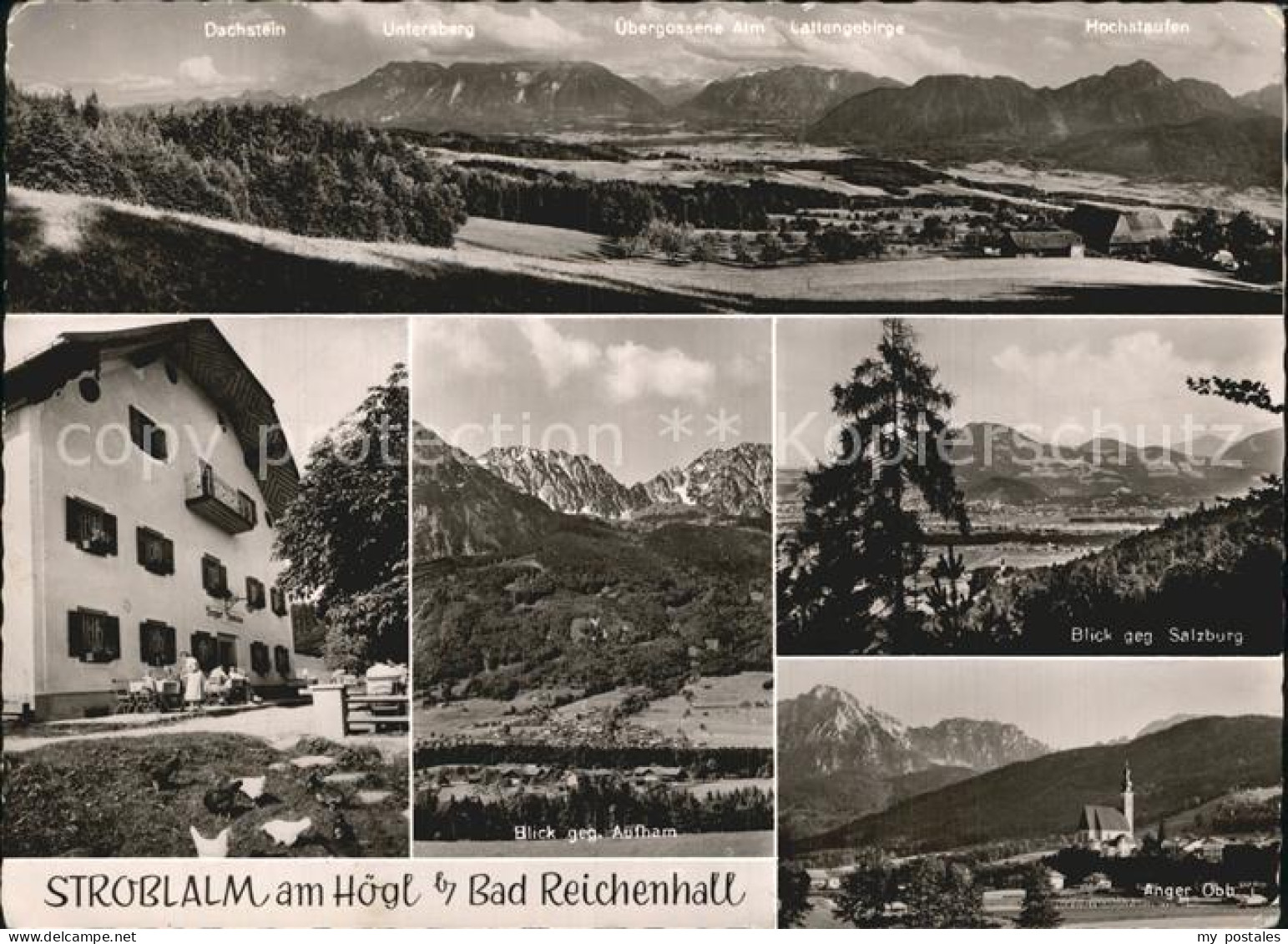 72489412 Bad Reichenhall Stroblalm Hoegl Dachstein Anger  Bad Reichenhall - Bad Reichenhall