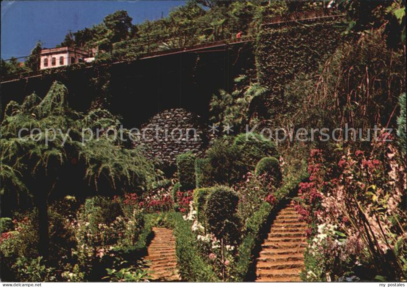 72488901 Madeira Garten In Monte Madeira  - Autres & Non Classés