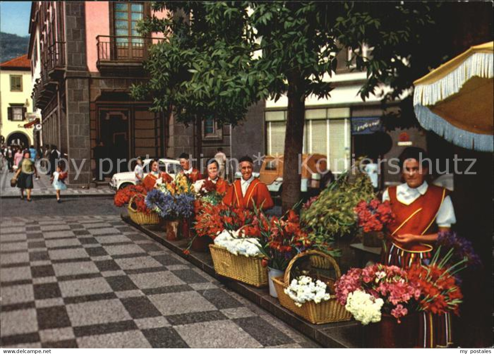 72487843 Madeira Blumenfrauen Madeira  - Otros & Sin Clasificación
