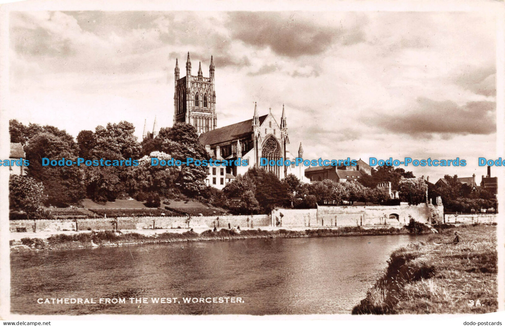 R102348 Cathedral From The West. Worcester. RP - Wereld