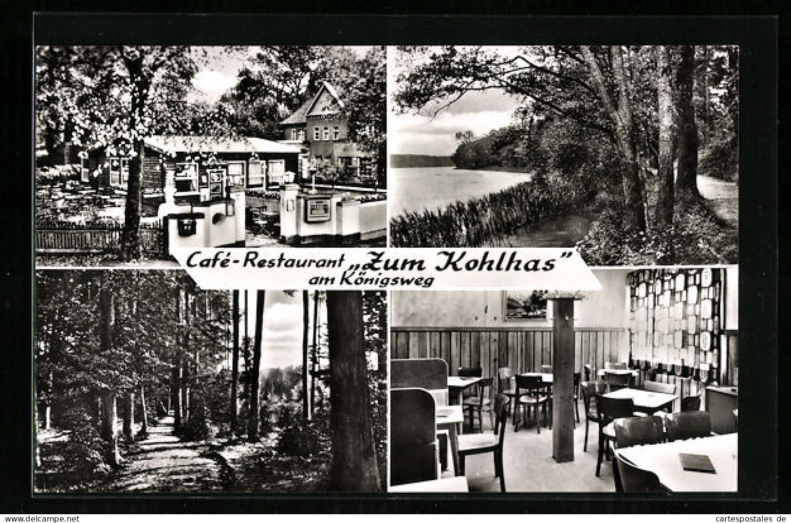 AK Berlin-Wannsee, Cafe-Restaurant Zum Kohlhas Am Königsweg, Im Gastraum, Auf Dem Waldweg, Am Seeufer  - Wannsee