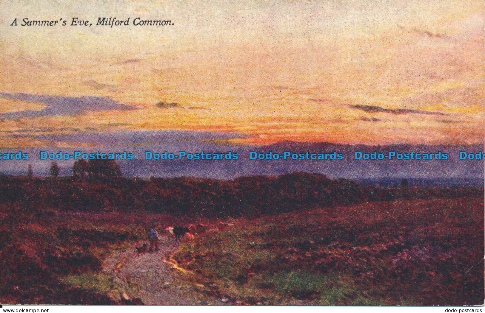R102424 A Summers Eve. Milford Common. Surrey. Series No. 37. A. And C. Black - Mondo