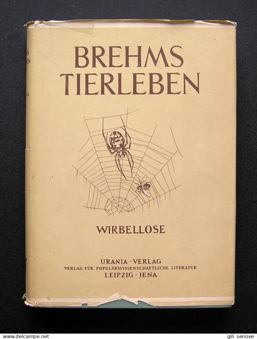 Brehms Tierleben Wirbellose 1956 - Livres Anciens