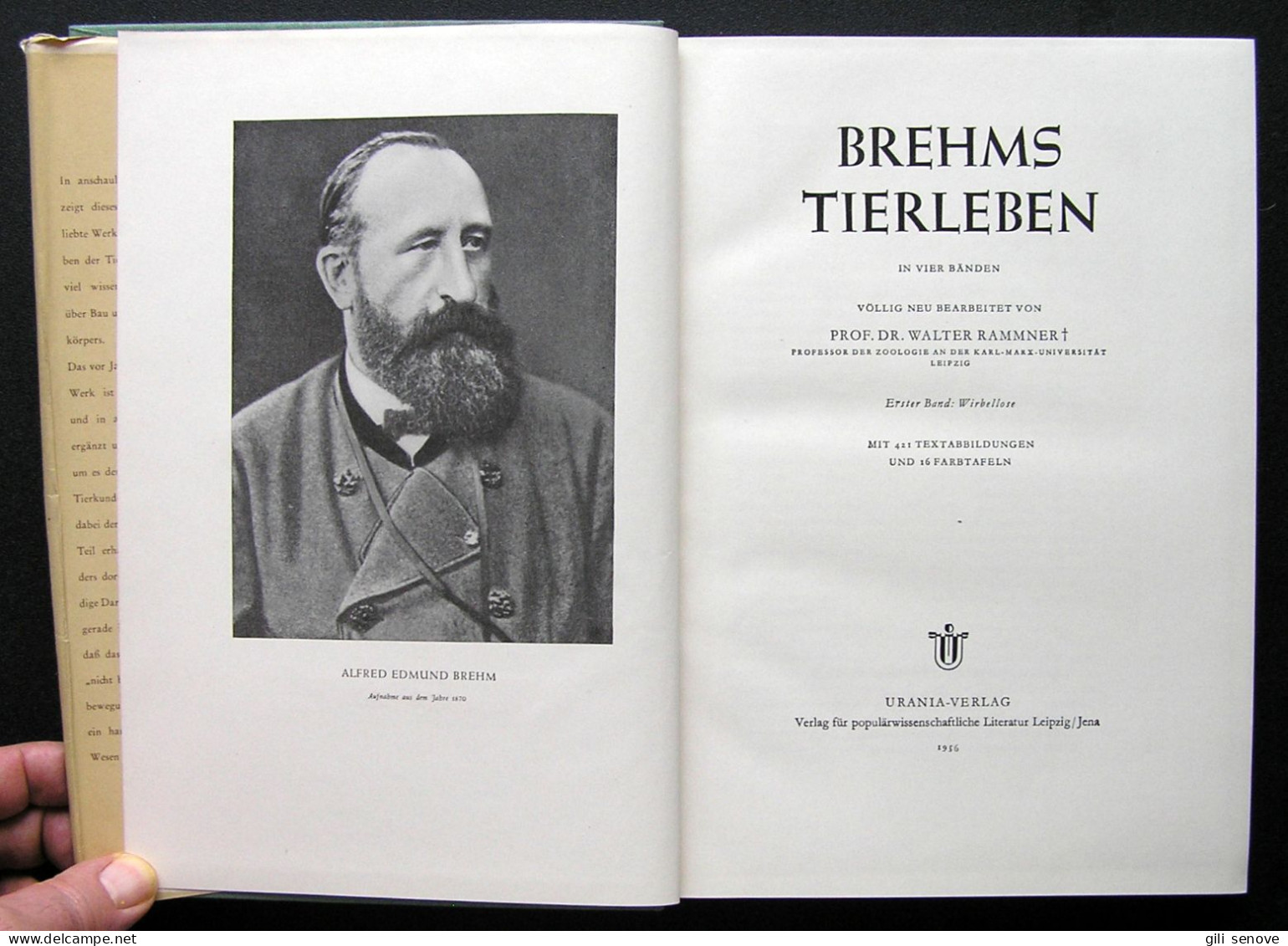 Brehms Tierleben Wirbellose 1956 - Livres Anciens