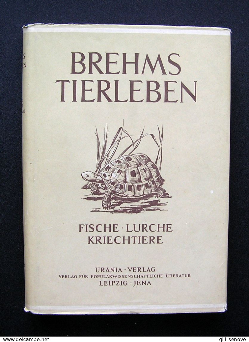 Brehms Tierleben Band 2: Fische, Lurche, Kriechtiere 1956 - Livres Anciens