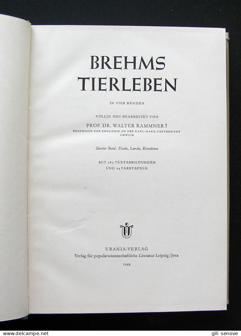 Brehms Tierleben Band 2: Fische, Lurche, Kriechtiere 1956 - Livres Anciens