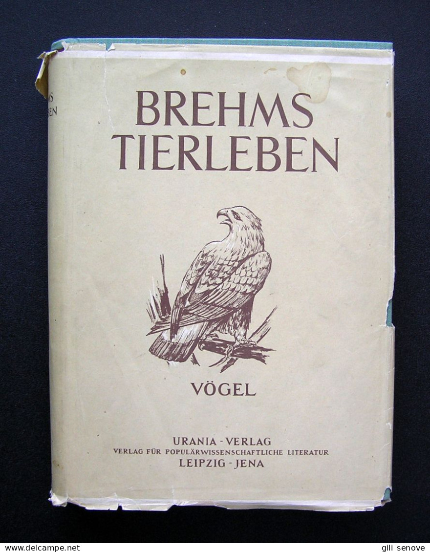 Brehms Tierleben Vögel 1956 - Livres Anciens