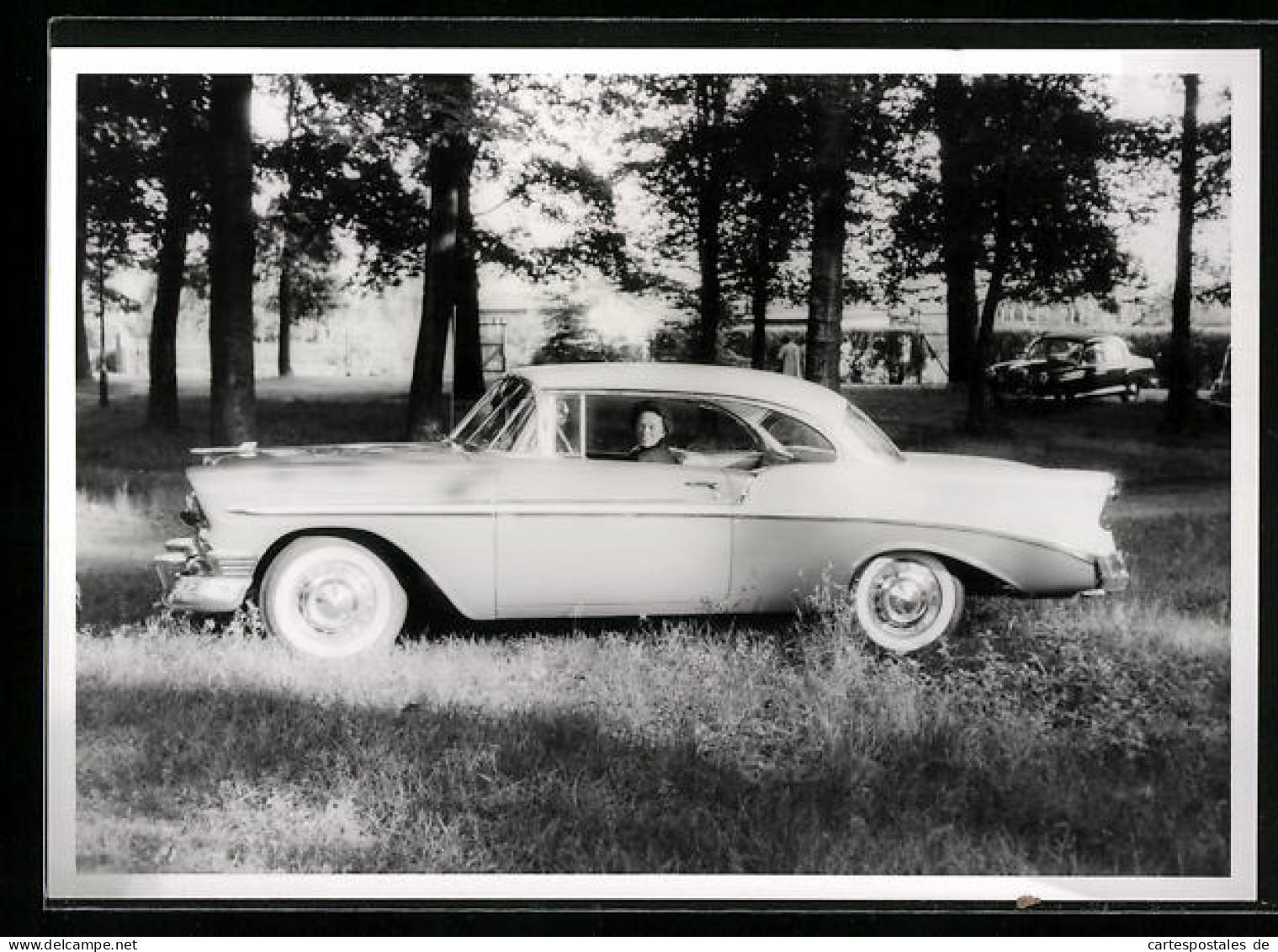 Foto-AK Auto Mit Fahrerin In Einer Waldpartie  - Voitures De Tourisme